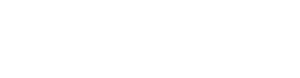 Velenzo